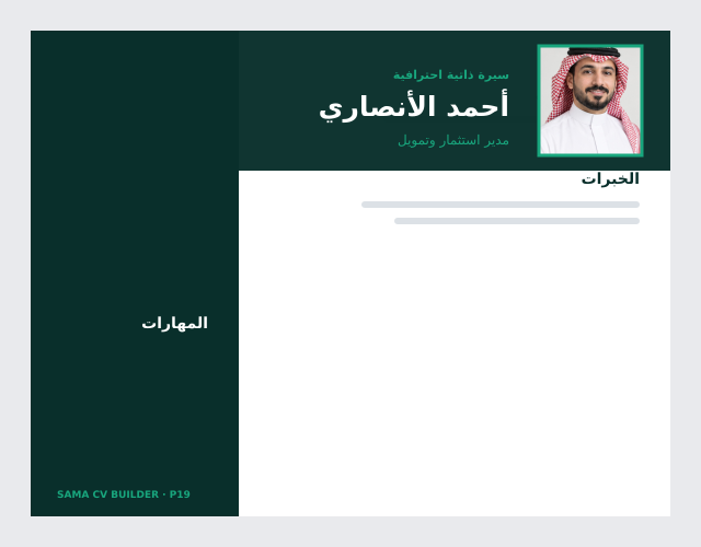 معاينة قالب مالي واستثماري