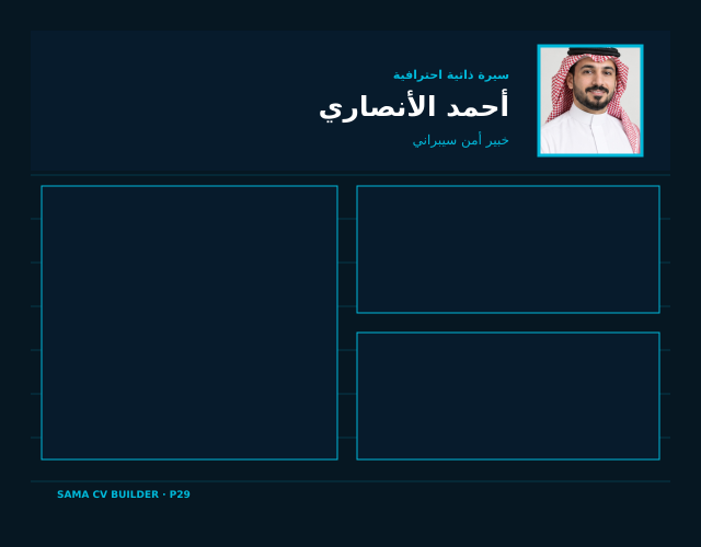 معاينة قالب أمن سيبراني